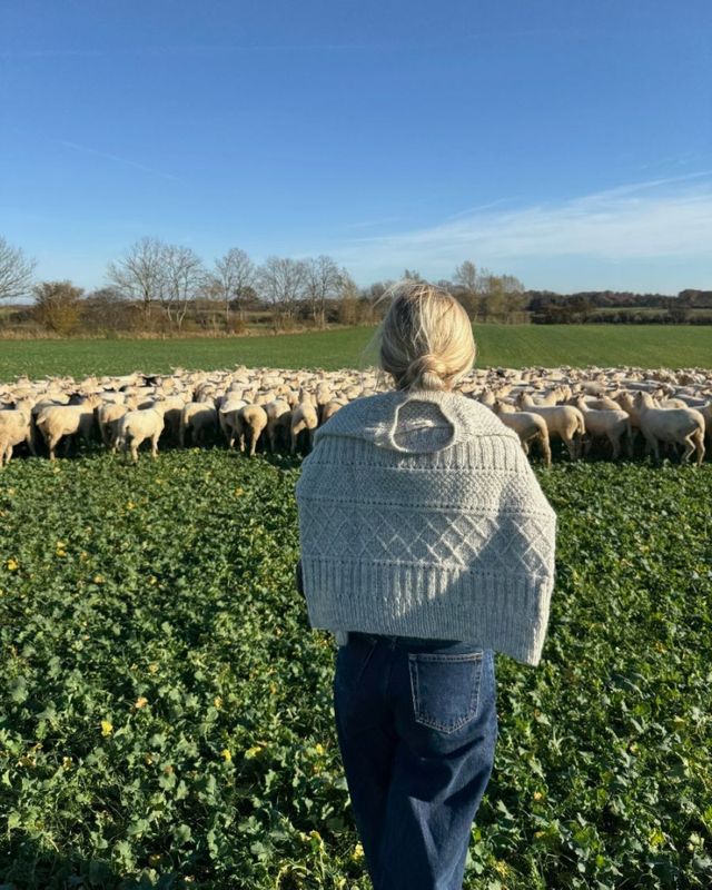 Ingrid Sweater